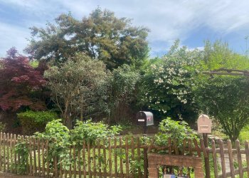 Foto 35 - Appartamento Via lame
 
372, Castel Maggiore - foto 35