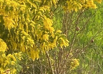 Foto 36 - Appartamento Via lame
 
372, Castel Maggiore - foto 36