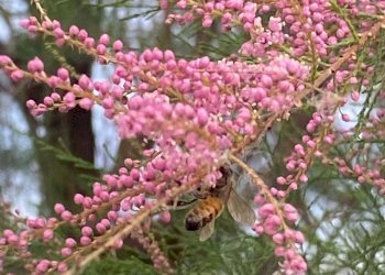 Foto 37 - Appartamento Via lame
 
372, Castel Maggiore - foto 37