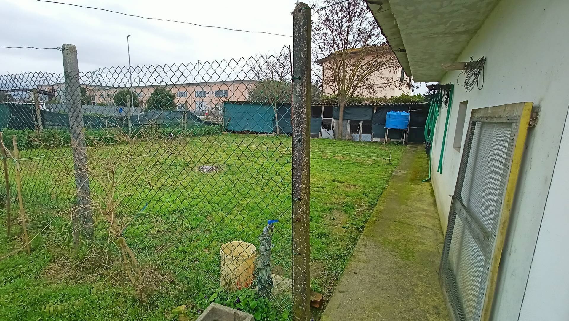 Foto 3 - Villa a Schiera via Lavoria, Crespina Lorenzana - foto 3