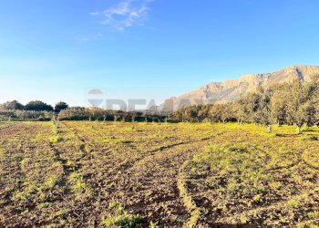 Vista delle montagne - Agricultural land Contrada Piano Del re, Partinico - photo 6