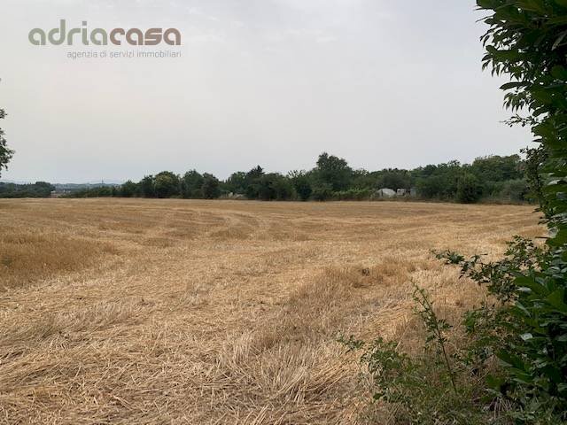 Foto 2 - Agricultural land Via Ponte Conca, Misano Adriatico - photo 2