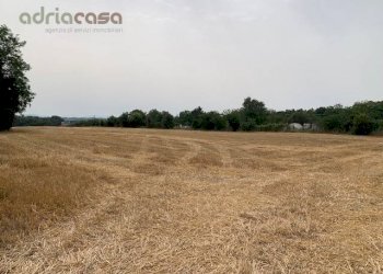 Foto 1 - Agricultural land Via Ponte Conca, Misano Adriatico - photo 1
