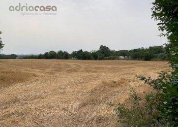 Foto 2 - Agricultural land Via Ponte Conca, Misano Adriatico - photo 2