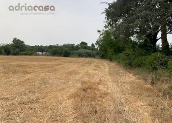 Foto 4 - Agricultural land Via Ponte Conca, Misano Adriatico - photo 4