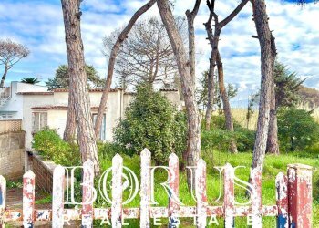 Foto 3 - Casa indipendente via del Trimoletto 177
 
177, Cellole - foto 3