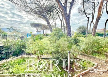 Foto 21 - Casa indipendente via del Trimoletto 177
 
177, Cellole - foto 21