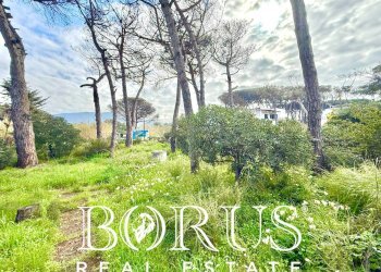 Foto 24 - Casa indipendente via del Trimoletto 177
 
177, Cellole - foto 24