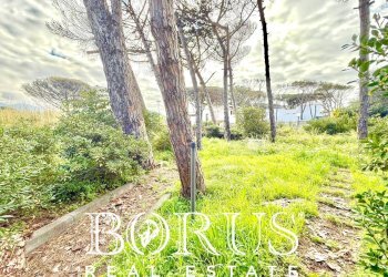 Foto 29 - Casa indipendente via del Trimoletto 177
 
177, Cellole - foto 29