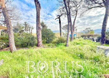 Foto 36 - Casa indipendente via del Trimoletto 177
 
177, Cellole - foto 36