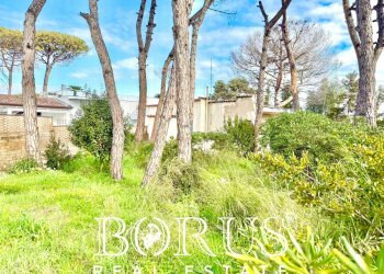 Foto 44 - Casa indipendente via del Trimoletto 177
 
177, Cellole - foto 44