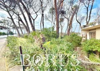 Foto 61 - Casa indipendente via del Trimoletto 177
 
177, Cellole - foto 61