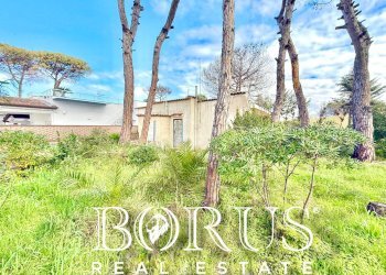 Foto 65 - Casa indipendente via del Trimoletto 177
 
177, Cellole - foto 65