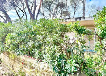 Foto 81 - Casa indipendente via del Trimoletto 177
 
177, Cellole - foto 81