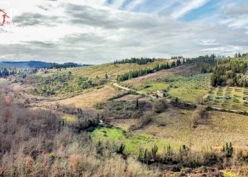 Foto 33 - Rustic via di Sezzate
 
snc, Greve in Chianti - photo 33