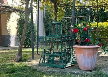 Foto 12 - Rustico via di Sezzate
 
snc, Greve in Chianti - foto 12