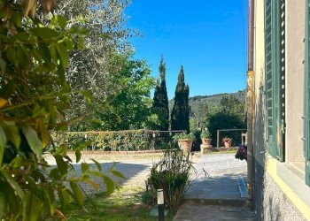 Foto 18 - Rustico via di Sezzate
 
snc, Greve in Chianti - foto 18