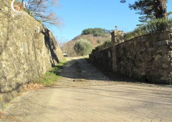 Foto 58 - Villa via del Lago
 
1, Londa - foto 58