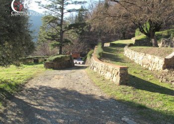 Foto 59 - Villa via del Lago
 
1, Londa - foto 59