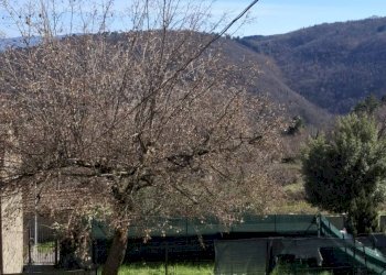 Foto 18 - Casa semi indipendente LOC. LE LASTRE
 
152, Castel San Niccolò - foto 18