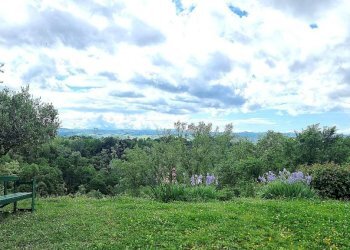 Terreno - Rustico Incisa Scapaccino - foto 6