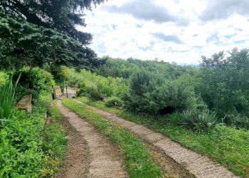 Terreno - Rustico Incisa Scapaccino - foto 9