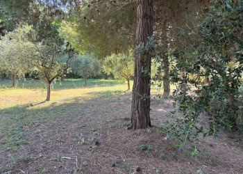 Terreno - Rustico via San Germano, 10, Camerano - foto 36