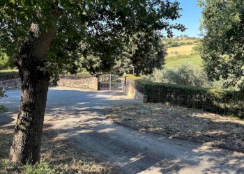 Giardino - Rustico via San Germano, 10, Camerano - foto 37