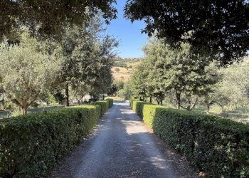 Zona - Rustico via San Germano, 10, Camerano - foto 38