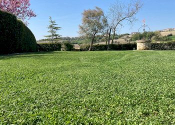 Terreno - Rustico via San Germano, 10, Camerano - foto 41