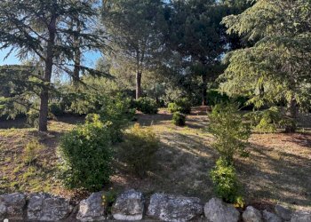 Terreno - Rustico via San Germano, 10, Camerano - foto 41
