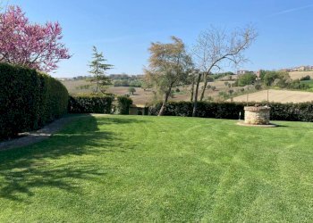 Giardino - Rustico via San Germano, 10, Camerano - foto 49