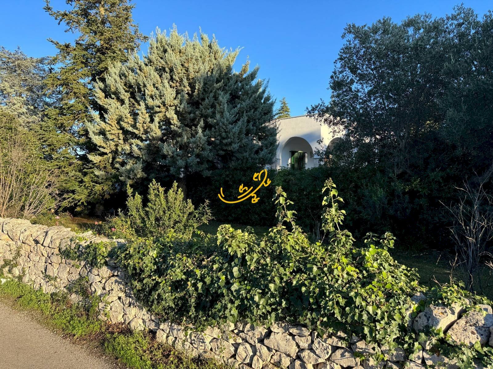 Foto 2 - Villa Contrada Pagliericci, Monopoli - photo 2