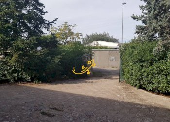 Foto 4 - Villa Contrada Pagliericci, Monopoli - foto 4