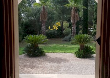 Foto 5 - Villa Contrada Pagliericci, Monopoli - foto 5