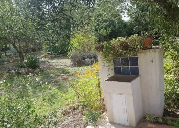 Foto 9 - Villa Contrada Pagliericci, Monopoli - foto 9