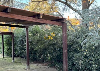 Foto 38 - Villa Contrada Pagliericci, Monopoli - foto 38