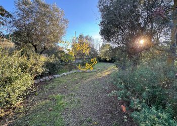 Foto 40 - Villa Contrada Pagliericci, Monopoli - foto 40