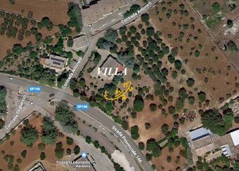 Foto 43 - Villa Contrada Pagliericci, Monopoli - foto 43