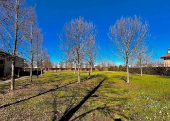 Terreno - Attico via Cristoforo Colombo, 44/2, Bologna (zona Lame) - foto 29