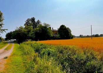 Villa via Bruno Tosarelli, Castenaso - foto 24