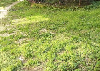 Foto 17 - Quadrilocale via Vico
 
23, Terni - foto 17