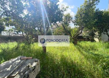 Foto 19 - Casa indipendente via Asilo Infantile
 
31, Ortelle - foto 19