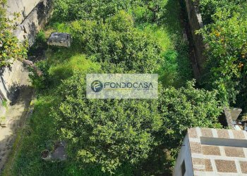 Foto 24 - Casa indipendente via Asilo Infantile
 
31, Ortelle - foto 24