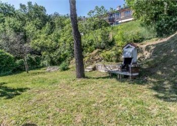 Foto 8 - Independent house Strada per Chiampore
27/F, Muggia - photo 8