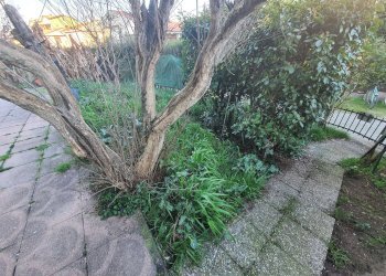 giardino - Appartamento largo Bernardino Campi, Pizzighettone - foto 21