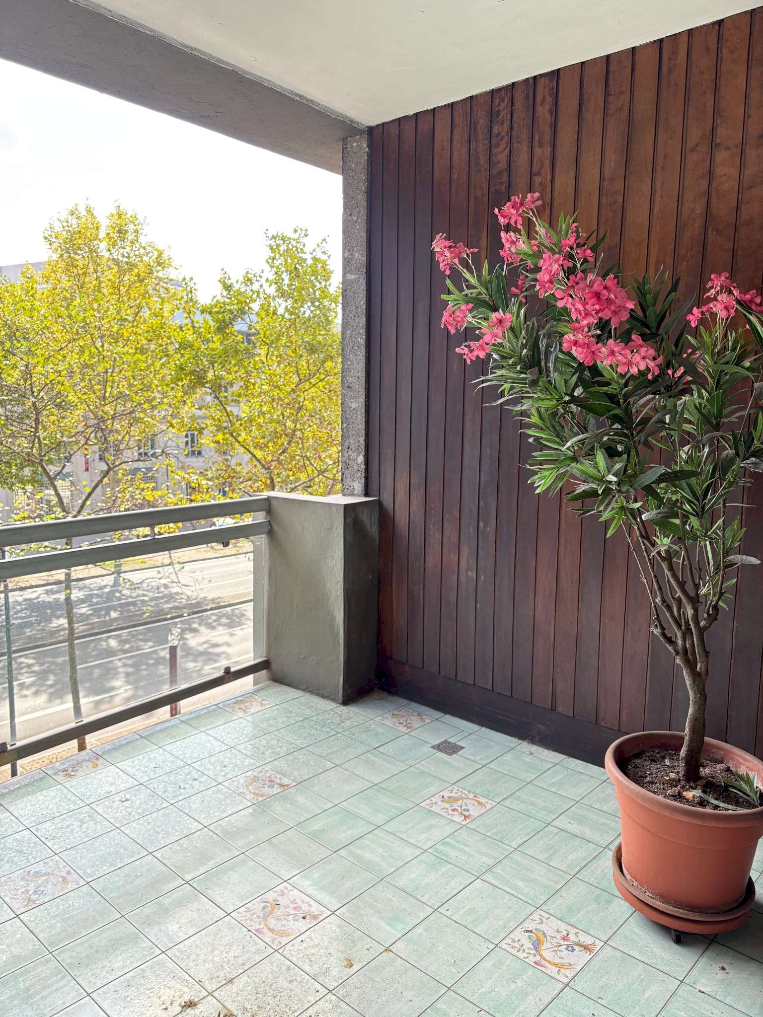 img_2719 - Appartamento corso Massimo D'Azeglio, 76, Torino (zona San Salvario) - foto 2