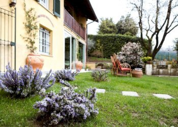 Giardino - Villa strada Comunale Val Pattonera, 224, Torino (zona Borgo Po) - foto 4