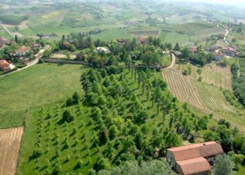 Terreno - Villa Frazione Lavezzole, 43, San Damiano d'Asti - foto 37