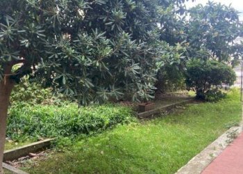 Appartamento via Ignazio Scotto, 26, Savona (zona Villetta) - foto 27